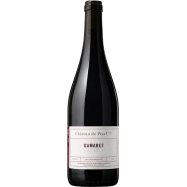 Gamaret, Château de...