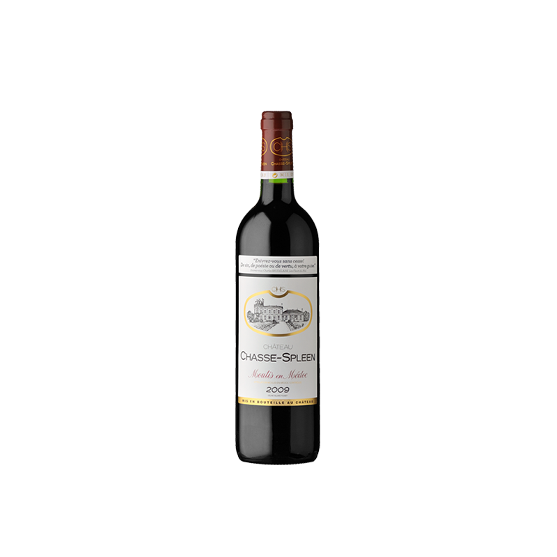 Château Chasse-Spleen, Cru Bourgeois Exceptionnel, Moulis AOC 2019 - 75 cl