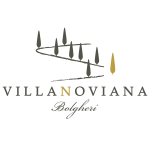 Villanoviana