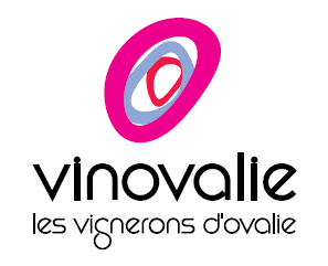 Vinovalie