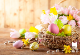 April-Spezialangebot