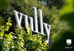 Le vignoble du Vully